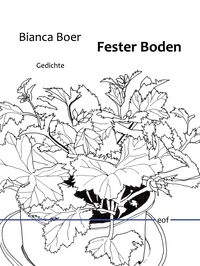 Fester Boden