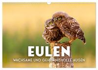 Vorderes Coverbild Eulen - Wachsame und geheimnisvolle Augen (Wandkalender 2025 DIN A3 quer), CALVENDO Monatskalender