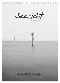 Seesicht - Bodenseestimmungen (Wandkalender 2025 DIN A3 hoch), CALVENDO Monatskalender
