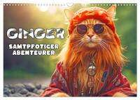 Vorderes Coverbild Ginger - Samtpfotiger Abenteurer (Wandkalender 2025 DIN A3 quer), CALVENDO Monatskalender