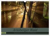 Arnsberger Wald (Wandkalender 2026 DIN A3 quer), CALVENDO Monatskalender