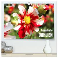 Traumhafte Dahlien (hochwertiger Premium Wandkalender 2025 DIN A2 quer), Kunstdruck in Hochglanz