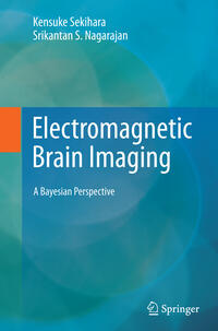 Electromagnetic Brain Imaging