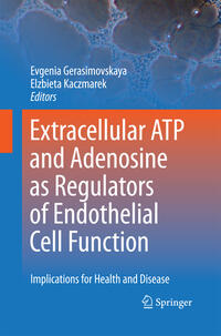Extracellular ATP and adenosine as regulators of endothelial cell function