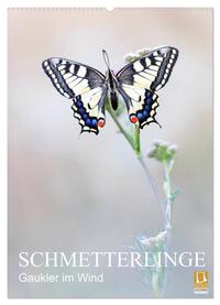 Schmetterlinge - Gaukler im Wind (Wandkalender 2025 DIN A2 hoch), CALVENDO Monatskalender