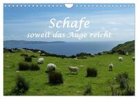 Vorderes Coverbild Schafe - soweit das Auge reicht (Wandkalender 2025 DIN A4 quer), CALVENDO Monatskalender