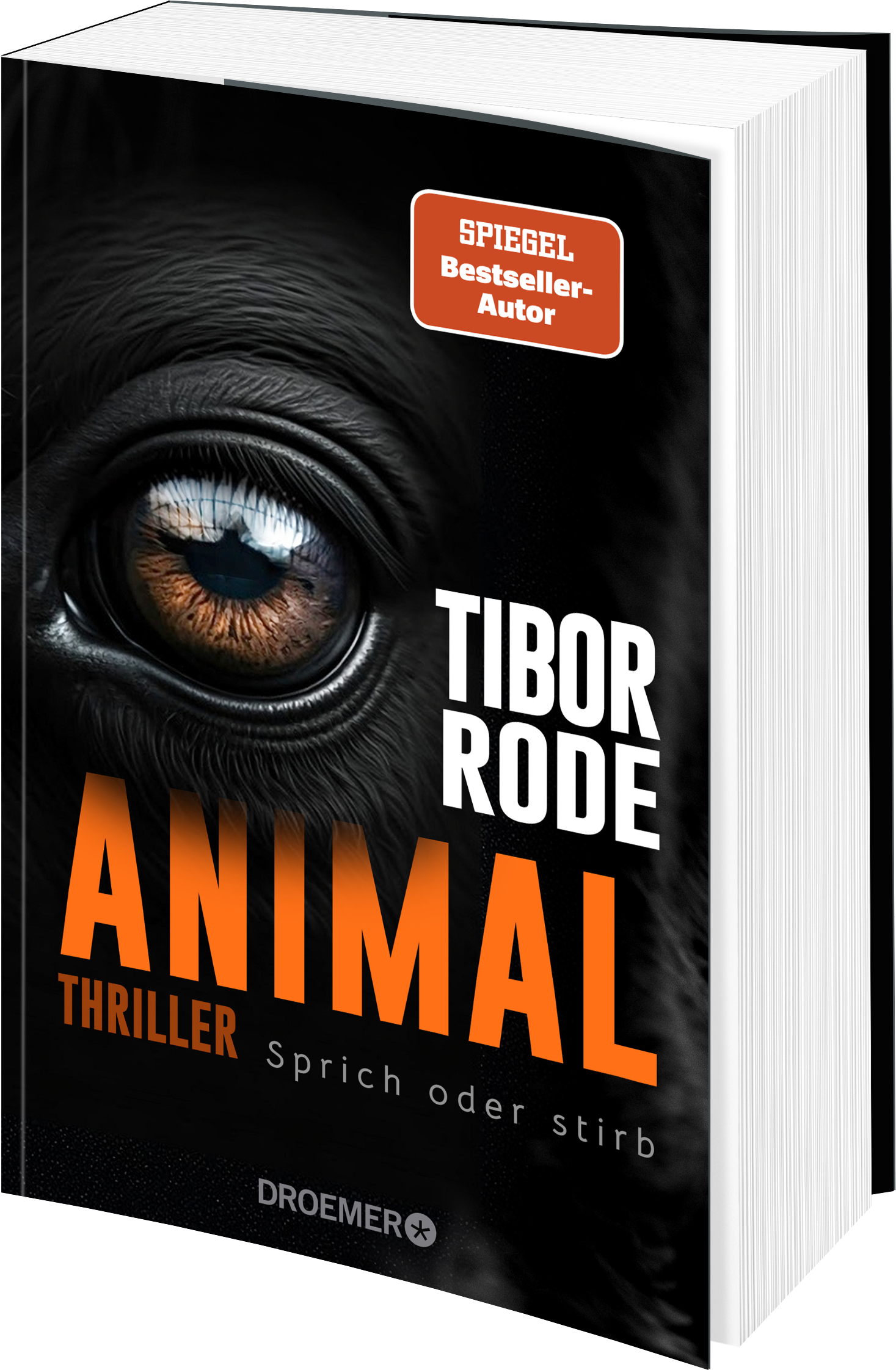 Animal