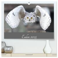 Eulen 2025 (hochwertiger Premium Wandkalender 2025 DIN A2 quer), Kunstdruck in Hochglanz