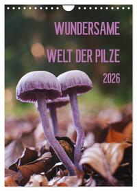 Wundersame Welt der Pilze (Wandkalender 2026 DIN A4 hoch), CALVENDO Monatskalender