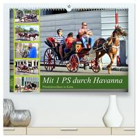 Mit 1 PS durch Havanna - Pferdedroschken in Kuba (hochwertiger Premium Wandkalender 2025 DIN A2 quer), Kunstdruck in Hochglanz