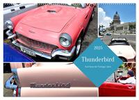 Thunderbird - Ford-Ikone der Fünfziger Jahre (Wandkalender 2025 DIN A2 quer), CALVENDO Monatskalender