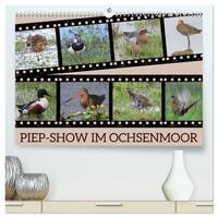 PIEP-SHOW im Ochsenmoor (hochwertiger Premium Wandkalender 2026 DIN A2 quer), Kunstdruck in Hochglanz