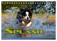 SPLASH - Hunde im Wasser (Tischkalender 2026 DIN A5 quer), CALVENDO Monatskalender