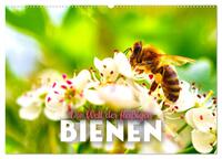 Die Welt der fleißigen Bienen (Wandkalender 2026 DIN A2 quer), CALVENDO Monatskalender