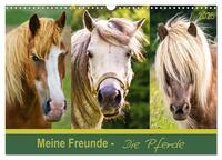 Meine Freunde - die Pferde (Wandkalender 2025 DIN A3 quer), CALVENDO Monatskalender