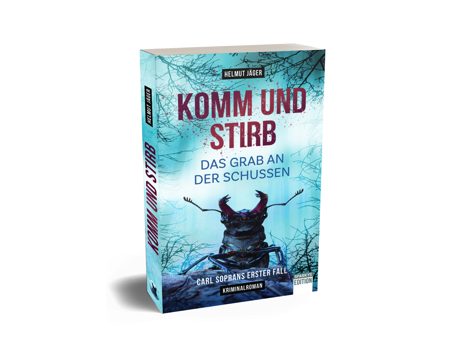 Komm und stirb - Das Grab an der Schussen