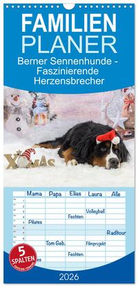 Familienplaner 2026 - Berner Sennenhunde - Faszinierende Herzensbrecher mit 5 Spalten (Wandkalender, 21 x 45 cm) CALVENDO