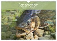Faszination Angeln und Fischen (Wandkalender 2026 DIN A3 quer), CALVENDO Monatskalender