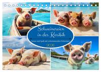 Schweinereien in der Karibik. Sonne und Spaß mit schwimmenden Schweinen (Tischkalender 2026 DIN A5 quer), CALVENDO Monatskalender