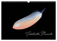 Federleichte Momente (Wandkalender 2026 DIN A3 quer), CALVENDO Monatskalender