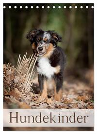 Hundekinder (Tischkalender 2026 DIN A5 hoch), CALVENDO Monatskalender