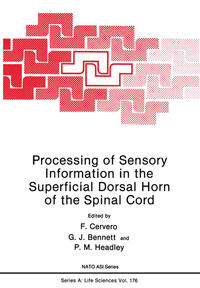 Vorderes Coverbild Processing of Sensory Information in the Superficial Dorsal Horn of the Spinal Cord