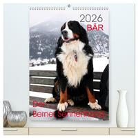 BÄR - Der Berner Sennenhund (hochwertiger Premium Wandkalender 2026 DIN A2 hoch), Kunstdruck in Hochglanz
