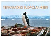 Tierparadies Südpolarmeer (Wandkalender 2026 DIN A2 quer), CALVENDO Monatskalender