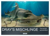 Dray's Mischlinge (Wandkalender 2025 DIN A2 quer), CALVENDO Monatskalender