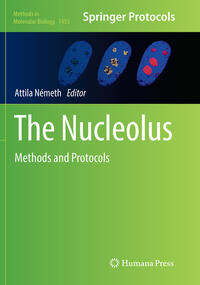 The Nucleolus