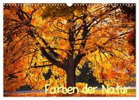 Farben der Natur (Wandkalender 2025 DIN A3 quer), CALVENDO Monatskalender