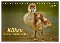 Küken - immer wieder süß (Tischkalender 2025 DIN A5 quer), CALVENDO Monatskalender