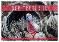 Emotionale Momente: Der Truthahn. (Wandkalender 2026 DIN A2 quer), CALVENDO Monatskalender