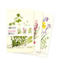 Dreier Set Mini-Notizbücher: Royal Botanic Garden Edinburgh