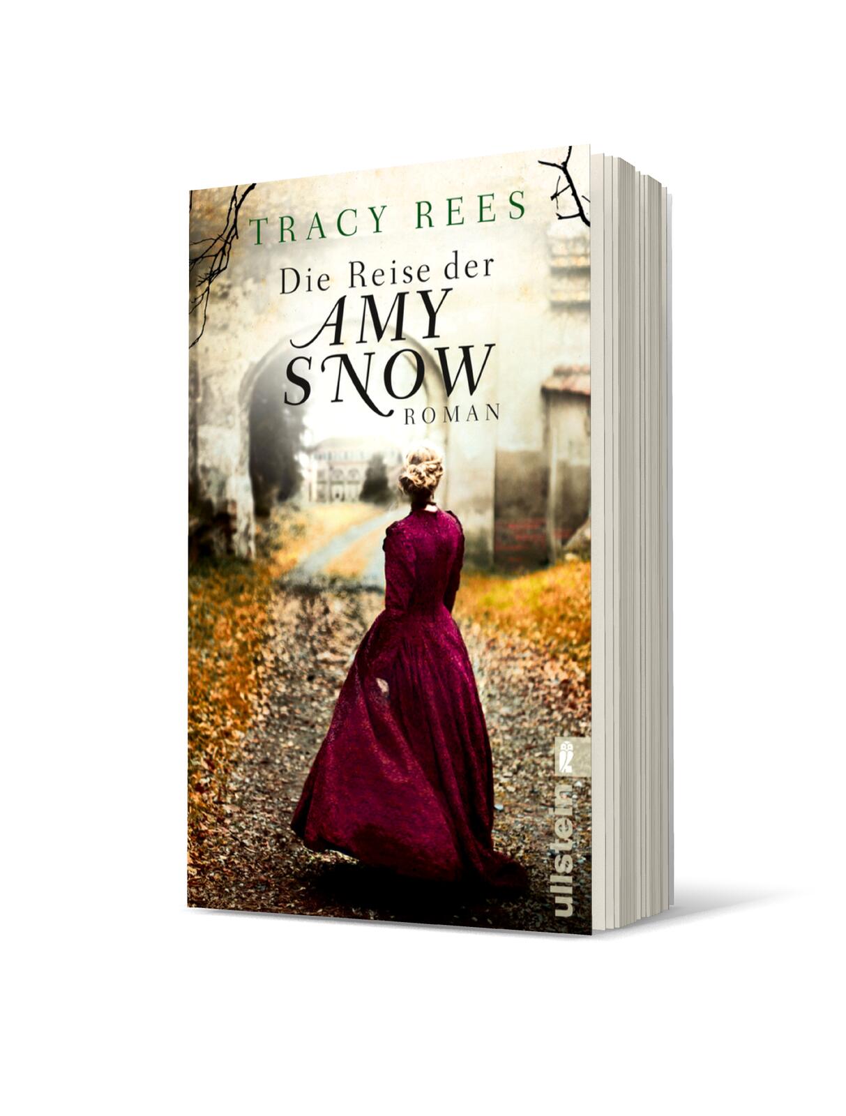 Die Reise der Amy Snow