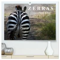 Zebras - Ungezähmte Kraft (hochwertiger Premium Wandkalender 2026 DIN A2 quer), Kunstdruck in Hochglanz