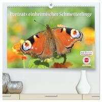 GEOclick Lernkalender: Porträts einheimischer Schmetterlinge (hochwertiger Premium Wandkalender 2025 DIN A2 quer), Kunstdruck in Hochglanz