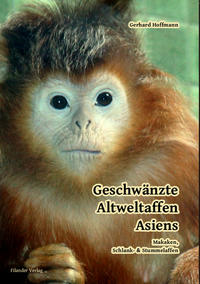 Geschwänzte Altweltaffen Asiens