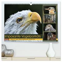 Imposante Vogelporträts (hochwertiger Premium Wandkalender 2026 DIN A2 quer), Kunstdruck in Hochglanz