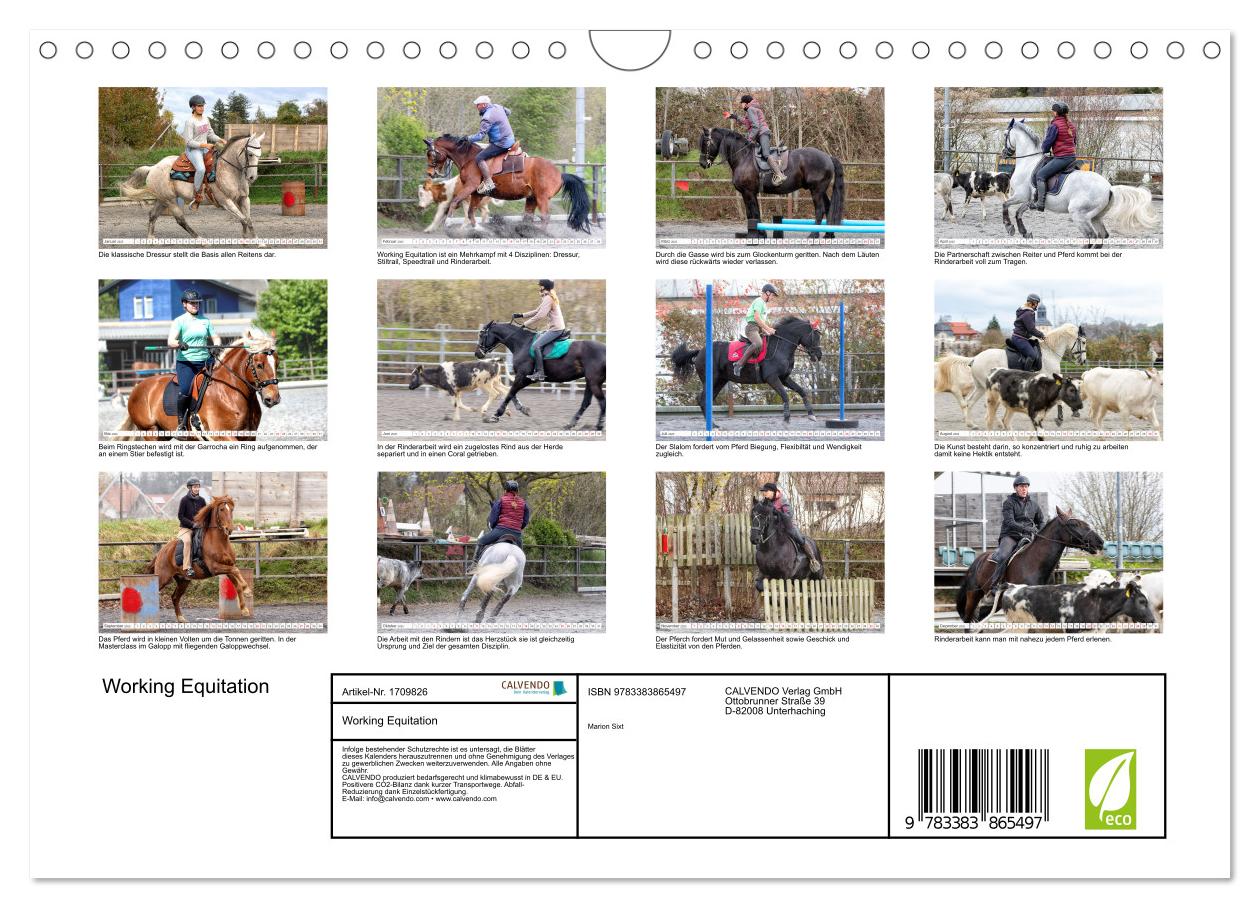 Beispielinhalt (Bild) Working Equitation (Wandkalender 2025 DIN A4 quer), CALVENDO Monatskalender