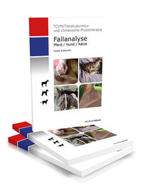 Fallanalyse