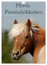 Pferde-Persönlichkeiten - ausdrucksstarke Gesichter verschiedener Pferderassen (Wandkalender 2026 DIN A4 hoch), CALVENDO Monatskalender