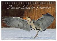 Aus dem Leben der Graureiher (Tischkalender 2025 DIN A5 quer), CALVENDO Monatskalender