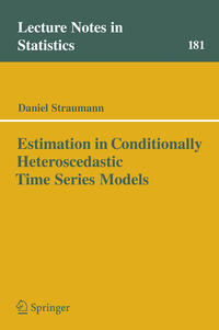 Estimation in Conditionally Heteroscedastic Time Series Models