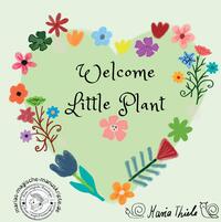Welcome Little Plant