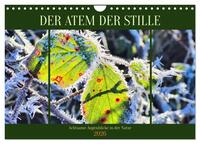 Der Atem der Stille - Achtsame Augenblicke in der Natur (Wandkalender 2026 DIN A4 quer), CALVENDO Monatskalender