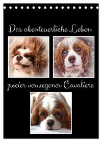 Das abenteuerliche Leben zweier verwegener Cavaliere (Tischkalender 2026 DIN A5 hoch), CALVENDO Monatskalender