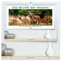 Die Brunft der Hirsche (hochwertiger Premium Wandkalender 2026 DIN A2 quer), Kunstdruck in Hochglanz