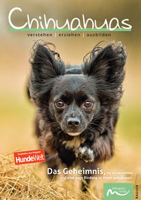 Chihuahuas