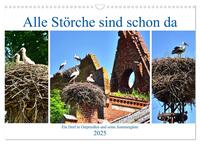 Alle Störche sind schon da - Ein Dorf in Ostpreußen und seine Sommergäste (Wandkalender 2025 DIN A3 quer), CALVENDO Monatskalender